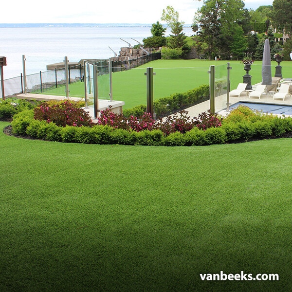 AGL Monte Carlo 60 Turf preview